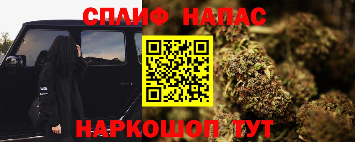 Конопля план Коряжма